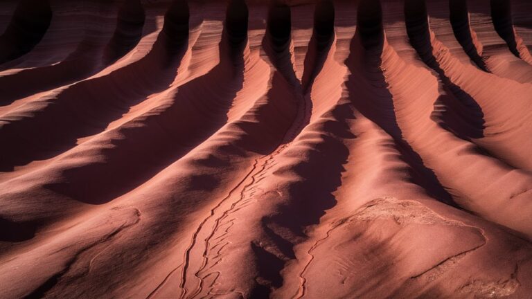 maroon quiver bonus tremors